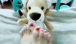 恋足视频网站,探索神秘足域的虚拟世界